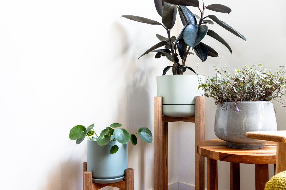Timber cheap plant stand